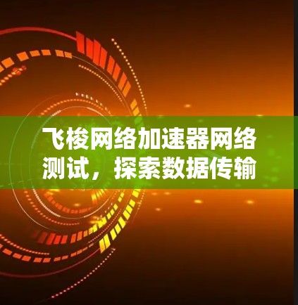 飞梭网络加速器网络测试，探索数据传输的未来