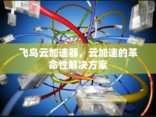 飞鸟云加速器，云加速的革命性解决方案