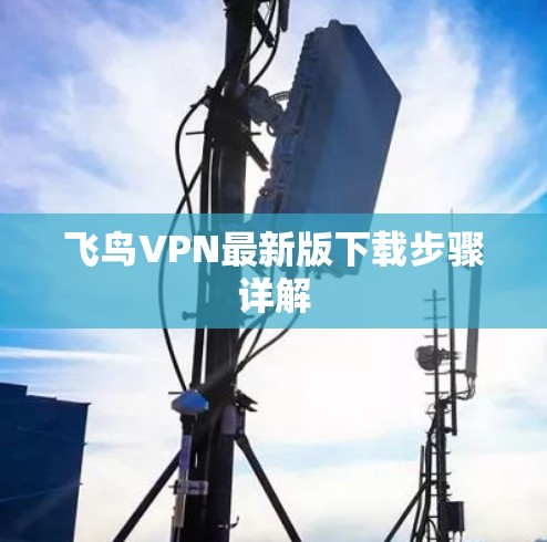 飞鸟VPN最新版下载步骤详解