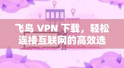 飞鸟 VPN 下载，轻松连接互联网的高效选择