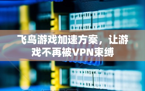 飞鸟游戏加速方案，让游戏不再被VPN束缚