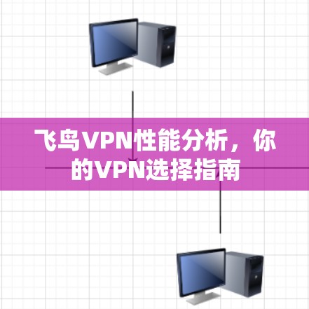 飞鸟VPN性能分析,你的VPN选择指南 飞鸟VPN性能分析,你的VPN选择指南