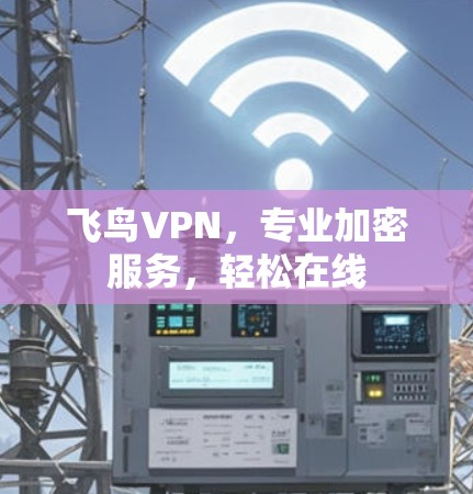 飞鸟VPN，专业加密服务，轻松在线