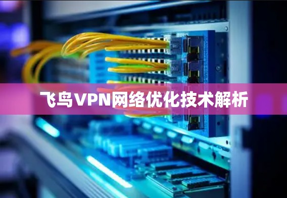 飞鸟VPN网络优化技术解析 飞鸟VPN网络优化技术解析