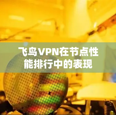 飞鸟VPN在节点性能排行中的表现 飞鸟VPN在节点性能排行中的表现