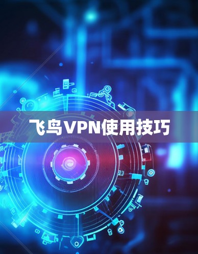 飞鸟VPN使用技巧 飞鸟VPN使用技巧