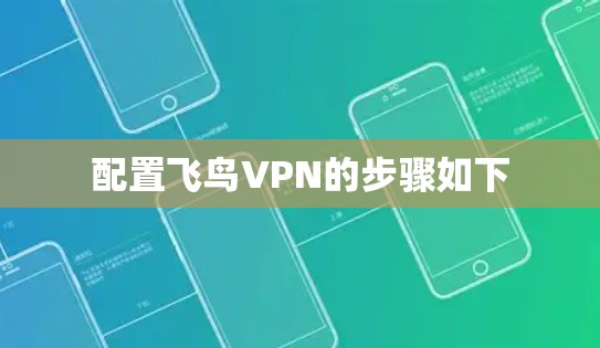 配置飞鸟VPN的步骤如下 配置飞鸟VPN的步骤如下