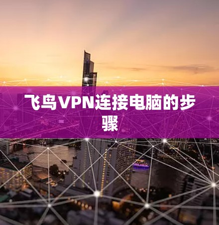 飞鸟VPN连接电脑的步骤