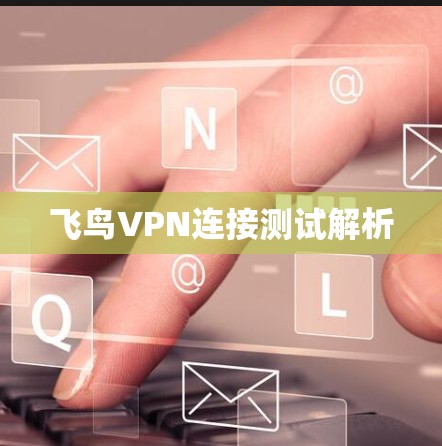 飞鸟VPN连接测试解析