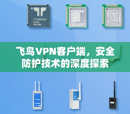 飞鸟VPN客户端，安全防护技术的深度探索