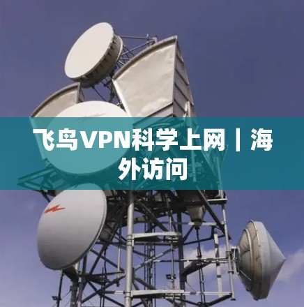 飞鸟VPN科学上网|海外访问 飞鸟VPN科学上网|海外访问