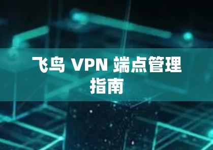 飞鸟 VPN 端点管理指南 飞鸟 VPN 端点管理指南
