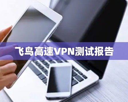 飞鸟高速VPN测试报告 飞鸟高速VPN测试报告