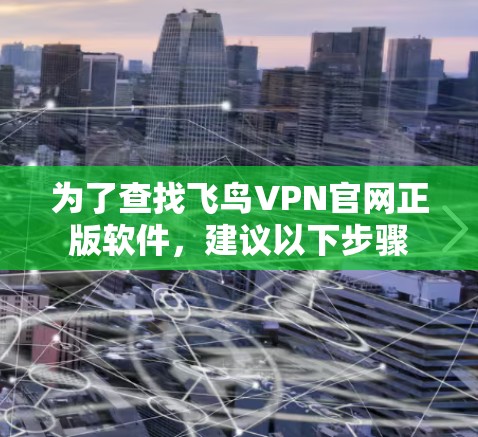 为了查找飞鸟VPN官网正版软件，建议以下步骤