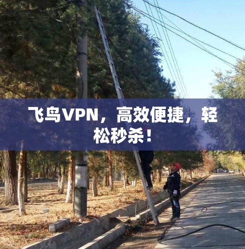 飞鸟VPN，高效便捷，轻松秒杀！