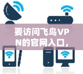 要访问飞鸟VPN的官网入口，可以按照以下步骤进行