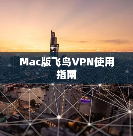 Mac版飞鸟VPN使用指南 Mac版飞鸟VPN使用指南