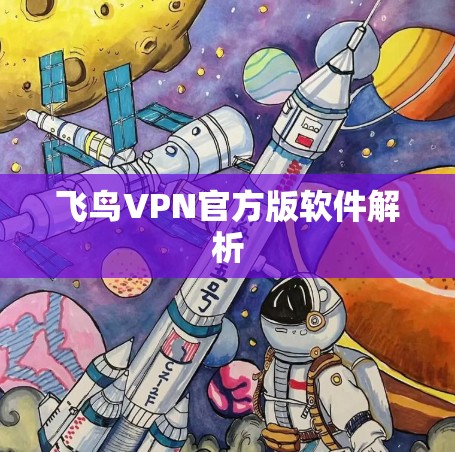 飞鸟VPN官方版软件解析 飞鸟VPN官方版软件解析
