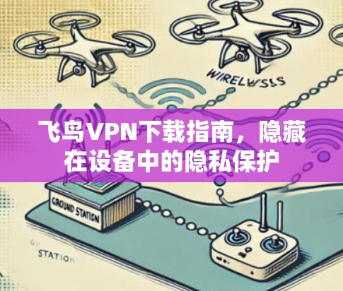 飞鸟VPN下载指南,隐藏在设备中的隐私保护 飞鸟VPN下载指南,隐藏在设备中的隐私保护