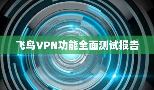 飞鸟VPN功能全面测试报告 飞鸟VPN功能全面测试报告