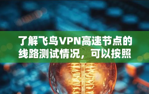 了解飞鸟VPN高速节点的线路测试情况，可以按照以下步骤进行