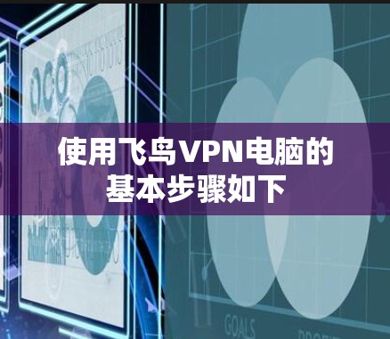 使用飞鸟VPN电脑的基本步骤如下