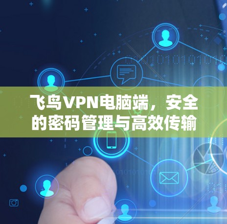 飞鸟VPN电脑端,安全的密码管理与高效传输 飞鸟VPN电脑端,安全的密码管理与高效传输