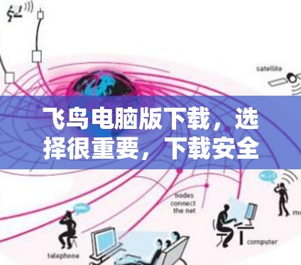 飞鸟电脑版下载,选择很重要,下载安全 飞鸟电脑版下载,选择很重要,下载安全