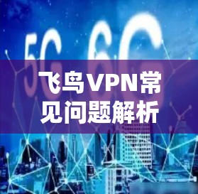 飞鸟VPN常见问题解析 飞鸟VPN常见问题解析