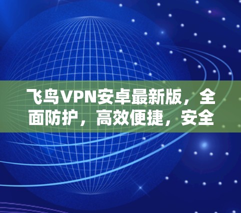 飞鸟VPN安卓最新版，全面防护，高效便捷，安全无忧