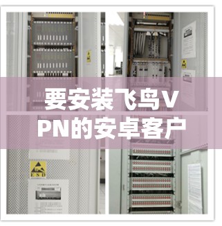 要安装飞鸟VPN的安卓客户端，您可以按照以下步骤进行