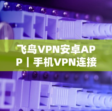 飞鸟VPN安卓APP|手机VPN连接 飞鸟VPN安卓APP|手机VPN连接