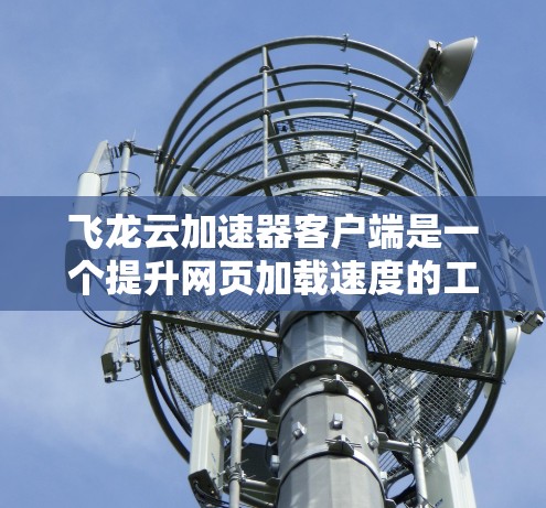 飞龙云加速器客户端是一个提升网页加载速度的工具,主要功能包括加速网页、视频和直播等。以下是使用飞龙云加速器客户端的详细步骤和注意事项 飞龙云加速器客户端是一个提升网页加载速度的工具,主要功能包括加速网页、视频和直播等。以下是使用飞龙云加速器客户端的详细步骤和注意事项