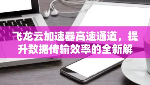 飞龙云加速器高速通道，提升数据传输效率的全新解决方案