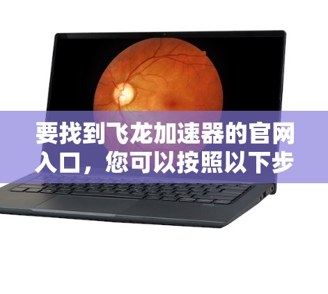 要找到飞龙加速器的官网入口,您可以按照以下步骤操作 要找到飞龙加速器的官网入口,您可以按照以下步骤操作