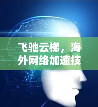 飞驰云梯,海外网络加速技术 飞驰云梯,海外网络加速技术