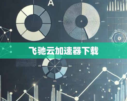 飞驰云加速器下载 飞驰云加速器下载