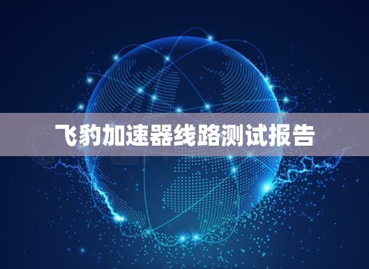 飞豹加速器线路测试报告