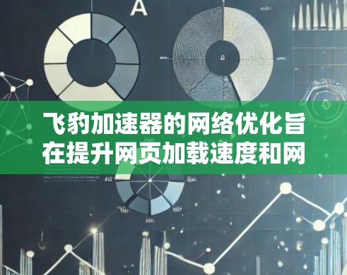飞豹加速器的网络优化旨在提升网页加载速度和网络性能。以下是详细的步骤说明