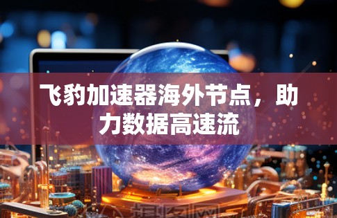 飞豹加速器海外节点，助力数据高速流