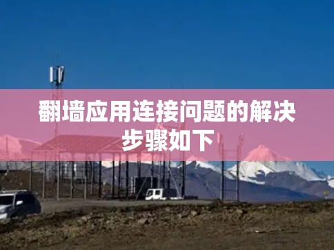 <strong>翻墙</strong>应用连接问题的解决步骤如下