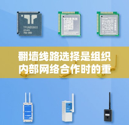 翻墙线路选择是组织内部网络合作时的重要环节，选择合适的翻墙设备可以显著提升网络的安全性和效率。以下是对翻墙线路选择的详细指南