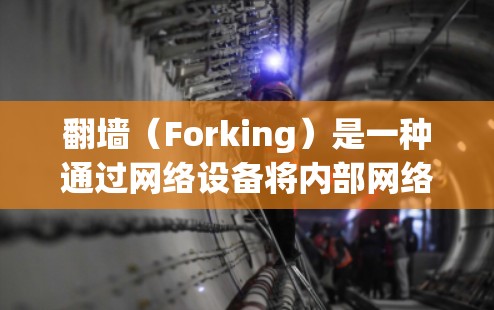 翻墙(Forking)是一种通过网络设备将内部网络与外部访问通道连接起来的技术,旨在实现内部与外部的访问。以下是对翻墙过程的详细分析及注意事项 翻墙(Forking)是一种通过网络设备将内部网络与外部访问通道连接起来的技术,旨在实现内部与外部的访问。以下是对翻墙过程的详细分析及注意事项