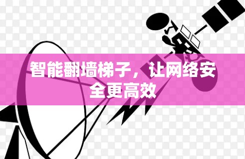 智能翻墙梯子,让网络安全更高效 智能翻墙梯子,让网络安全更高效
