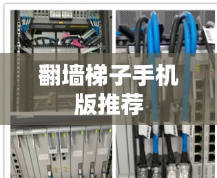<strong>翻墙</strong>梯子手机版推荐