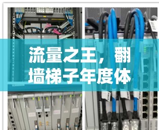 流量之王,翻墙梯子年度体验榜 流量之王,翻墙梯子年度体验榜
