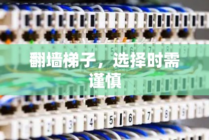翻墙梯子，选择时需谨慎