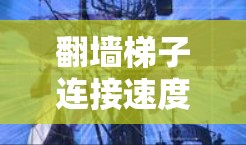 <strong>翻墙</strong>梯子连接速度体验是一个复杂的话题，涉及多个方面，包括技术细节、设备测试、用户反馈以及维护策略。以下是对这一主题的分步总结
