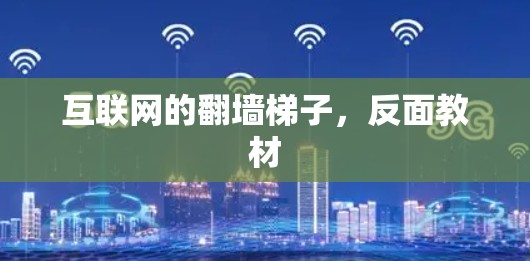 互联网的翻墙梯子,反面教材 互联网的翻墙梯子,反面教材