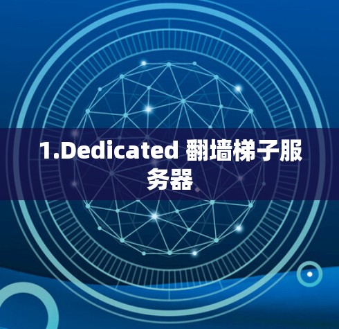1.Dedicated 翻墙梯子服务器